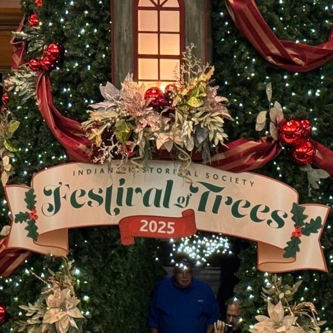 A Festival Wrapped in Lights, Laughter, and Pure Holiday Magic