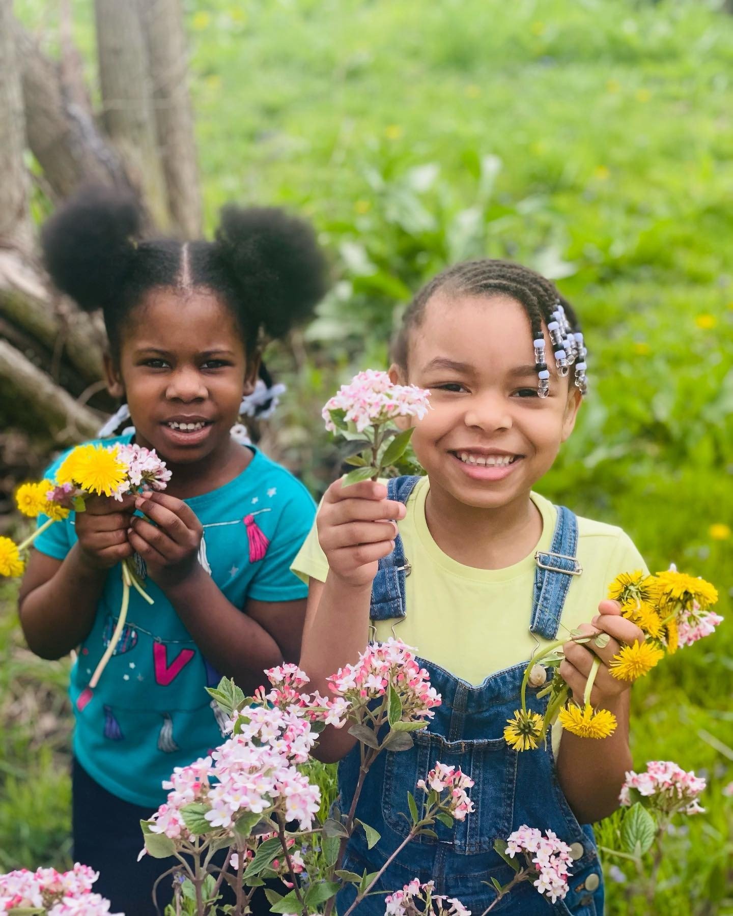 Donate to Our School