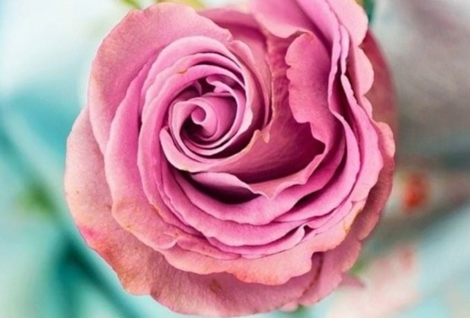 Journey from Grief to Healing