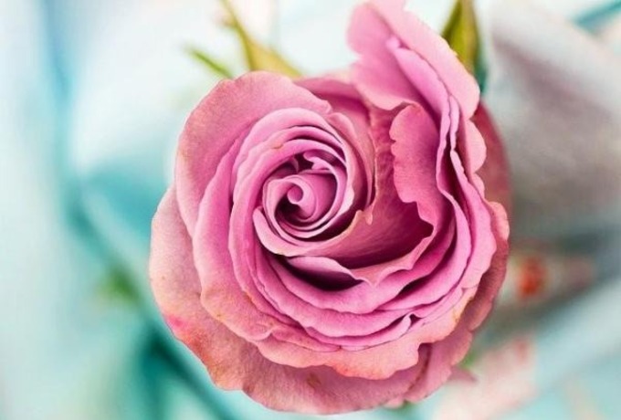 Journey from Grief to Healing