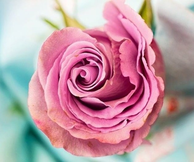 Journey from Grief to Healing