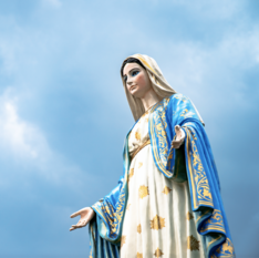 Immaculate Conception Masses 2025