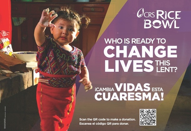 Rice Bowls Available