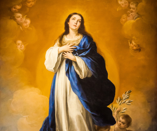Feast of the Immaculate Conception Holy Day of Obligation All Feast of the Immaculate Conception Holy Day of Obligation All
