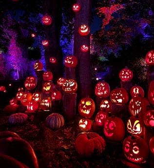 Frassati Night Shines at the Jack-o'-Lantern Spectacular