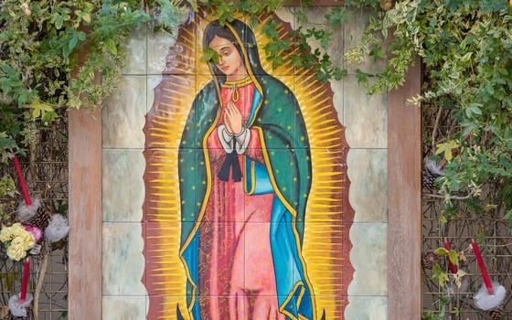 Feast of the Immaculate Conception