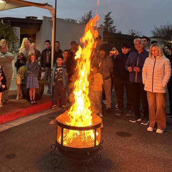 Burning of the Palms