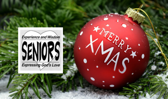 Annual Senior Christmas Party