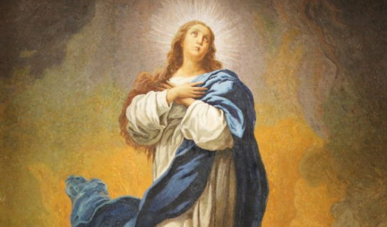 Immaculate Conception of Mary - Mass Schedule