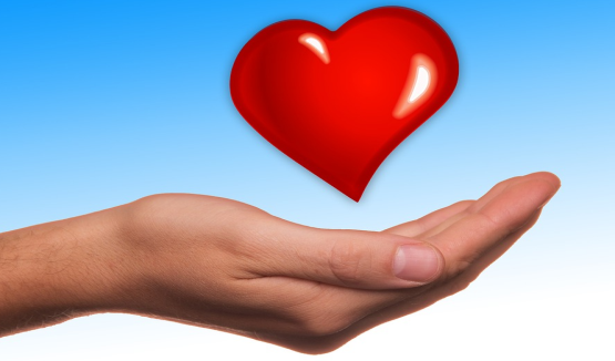 Giving Tree Thank You