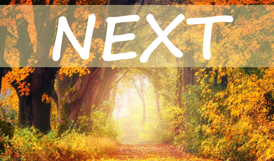 Next - New Catholics in Conversation