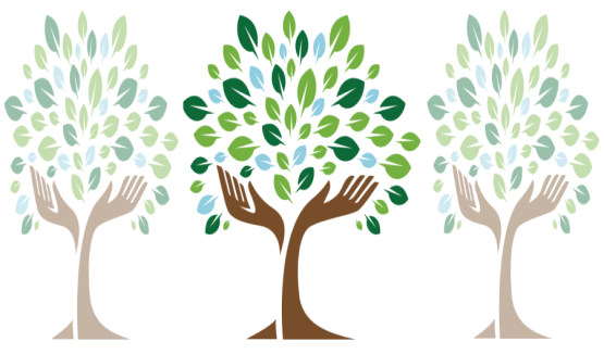 SC-SL and SG Parish - Stewardship Update