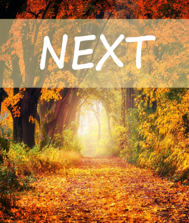 New Catholics In Conversation