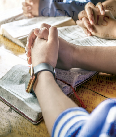 Bible Studies