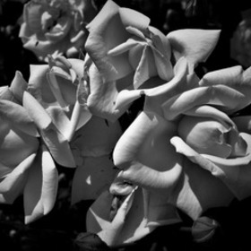 Stella Maris Grief Group