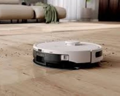 Queen of the Most Holy Rosary