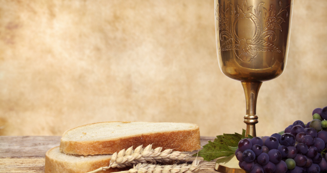 Nourish Family Session