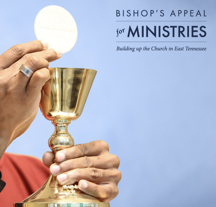 BISHOP'S APPEAL