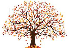 Fall into the Holidays, Holyoke