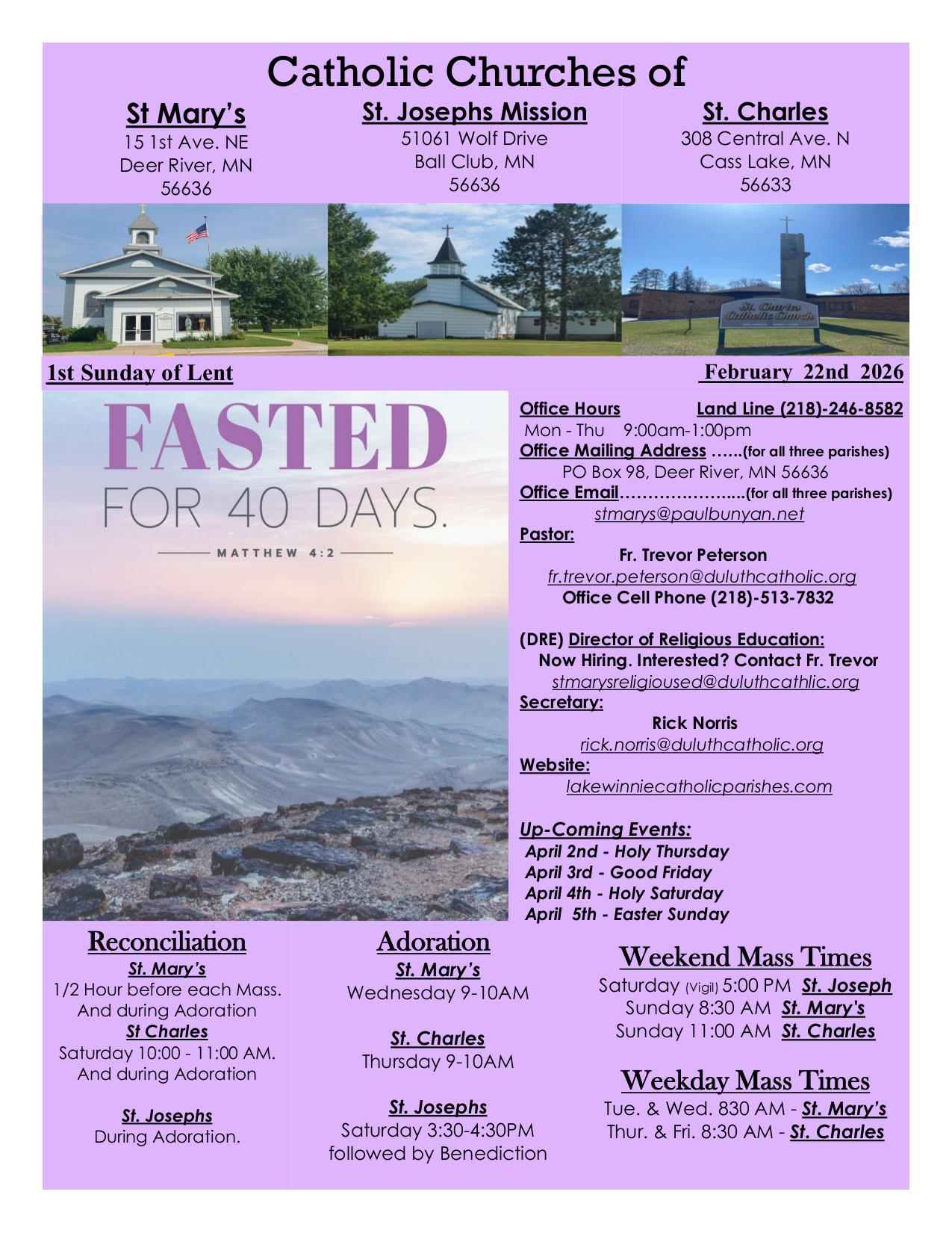 february 22, 2026 Bulletin