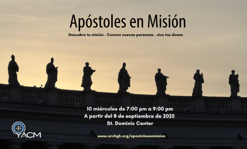 Apóstoles en Misión