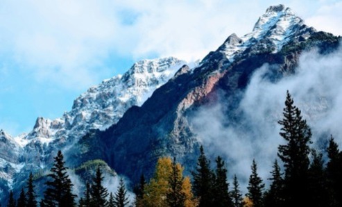 ASCEND - Professional Growth Day