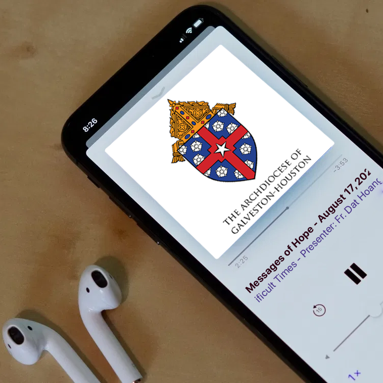 Podcasts