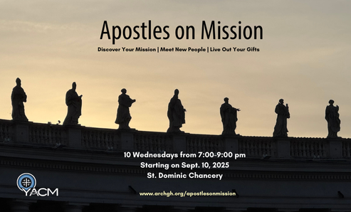Apostles on Mission