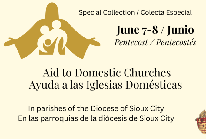 Aid to domestic churches - bishop's letter of support