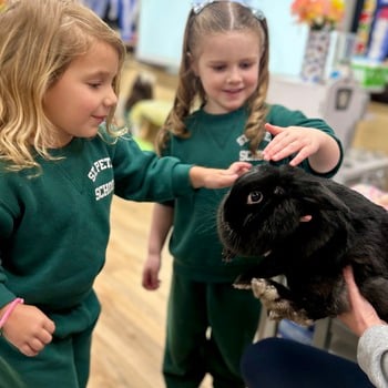 Thank you for supporting our animal lab