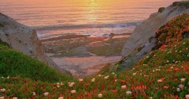 November 28: The Kingdom / El Reino