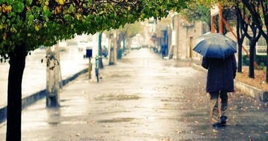 November 14: The Present Moment / El Momento Presente