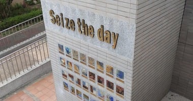 November 15: Preparing to Celebrate Sunday’s Mass / Preparándonos para Celebrar la Misa Dominical