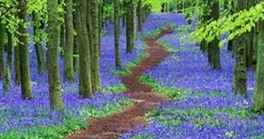 December 18: God’s Path / El Sendero de Dios