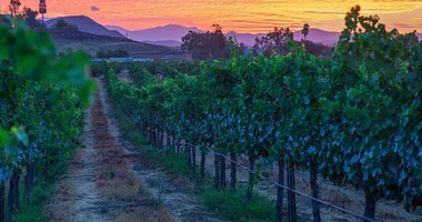 October 4: Preparing to Celebrate Sunday’s Mass / Preparándonos para Celebrar la Misa Dominical