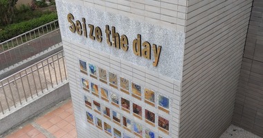 November 15: Preparing to Celebrate Sunday’s Mass / Preparándonos para Celebrar la Misa Dominical