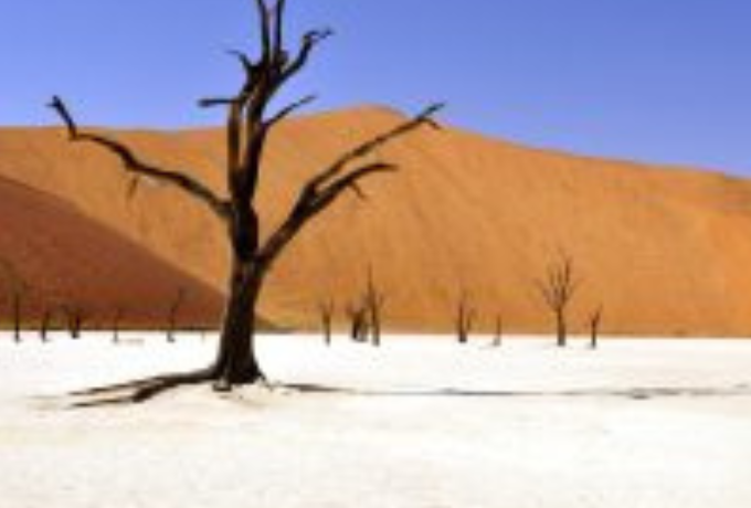 March 9: The Day of The Lord “One does not live on bread alone, but on every word that comes forth f