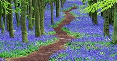 May 30: Walk With Me
