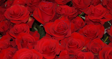 May 11: Mother’s Day / Día de la Madres