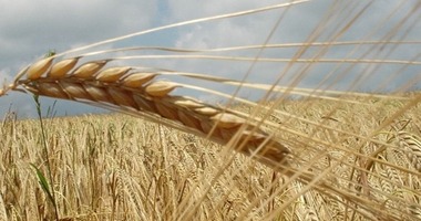 August 3: The Day of the Lord / El Día del Señor