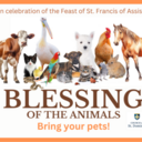 Blessing of the Animals