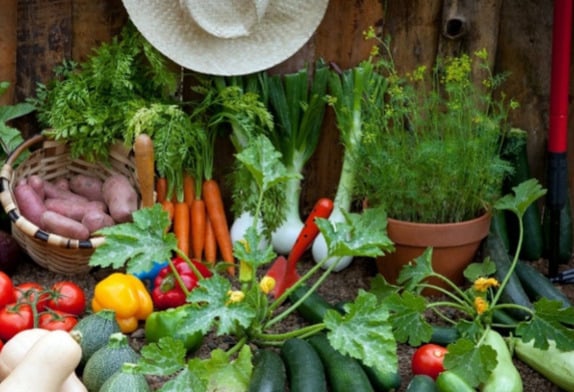 Giving Garden Weekend