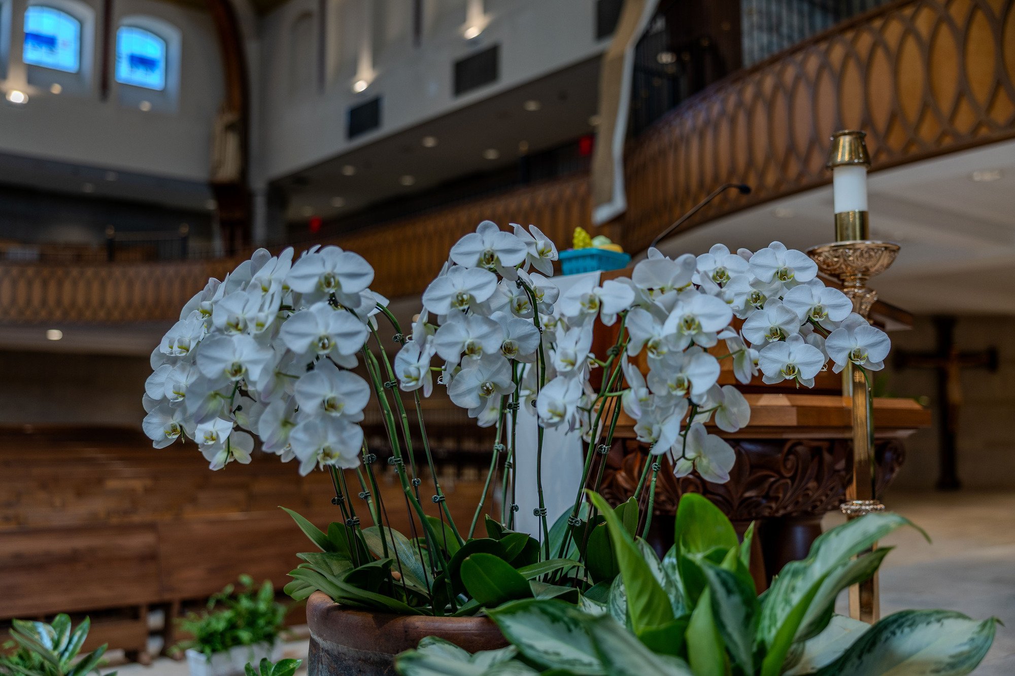 Components of a Funeral Mass