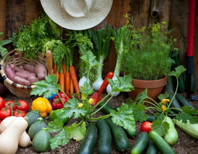 Giving Garden Weekend