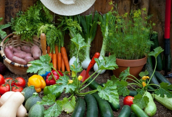 Giving Garden Weekend
