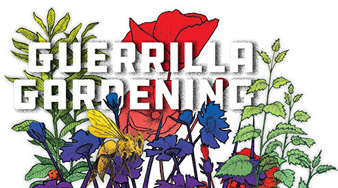 Guerrilla Gardening Day
