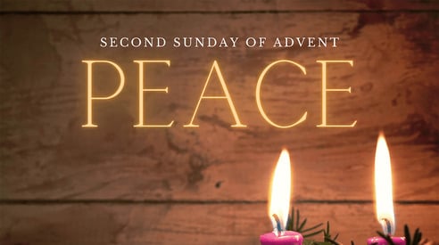 A Biblical Theology on Peace