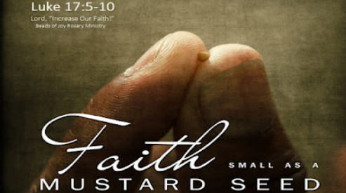 Mustard Seeds and The Disciple’s Humility and Gratitude