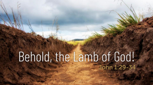 Commentary on John 1:29-42