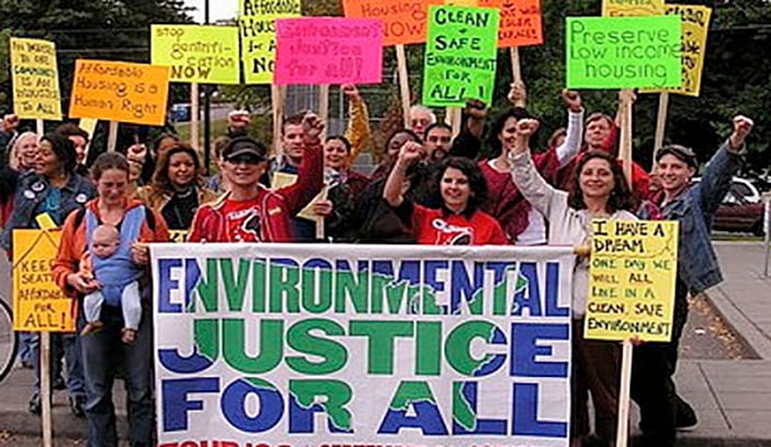 Environmental Justice Committee